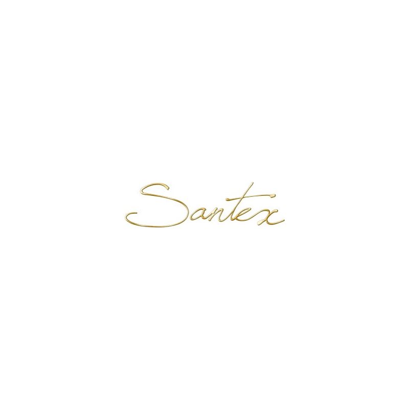 Santex