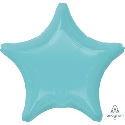 19"M.ROBBINS EGG BLUE STAR