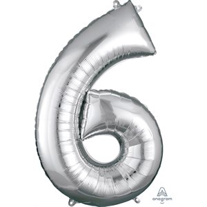 NUMBER 6 SILVER H / S