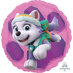 M.18'' PAW PATROL SKYE & EVEREST