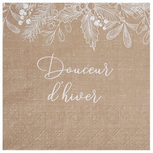 Serviette Douceur d'hiver Naturel 33 x 33 cm Sachet de 20 pi